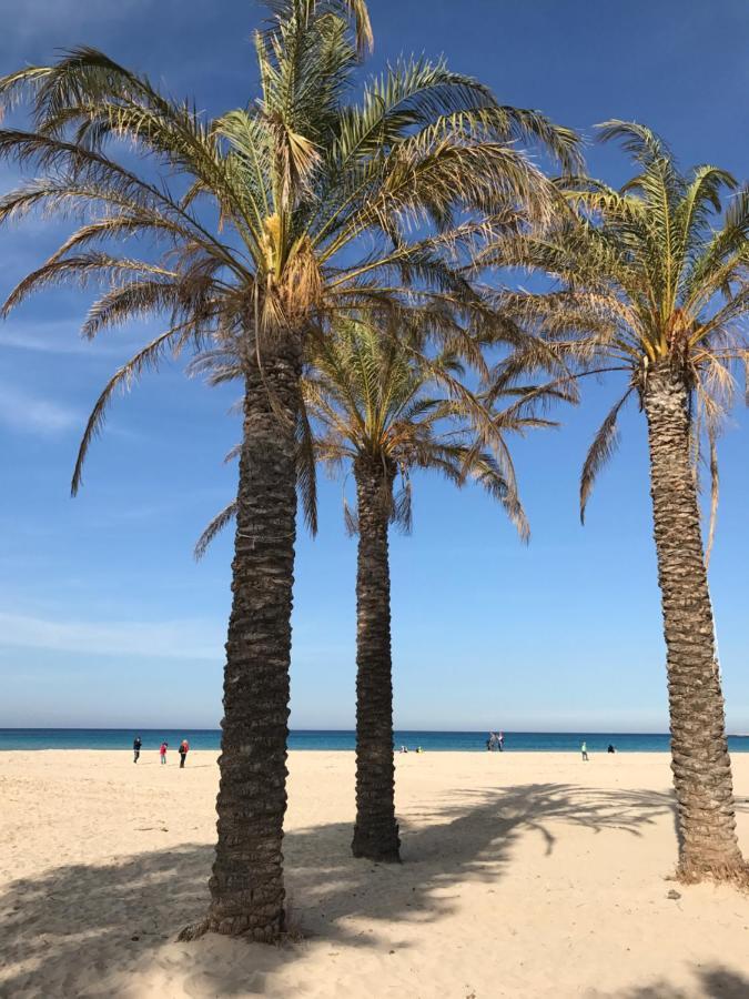 La Terrazza Nel Blu Apartment San Vito Lo Capo Luaran gambar
